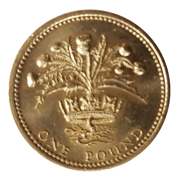 1984 Queen Elizabeth II One Pound Coin