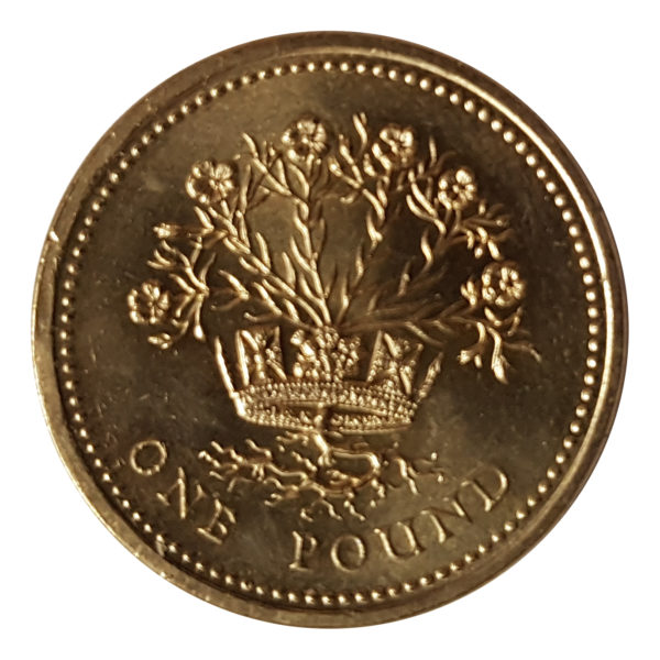 1991 Queen Elizabeth II One Pound Coin