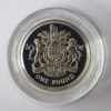 1998 United Kingdom Silver Proof £1 Coin
